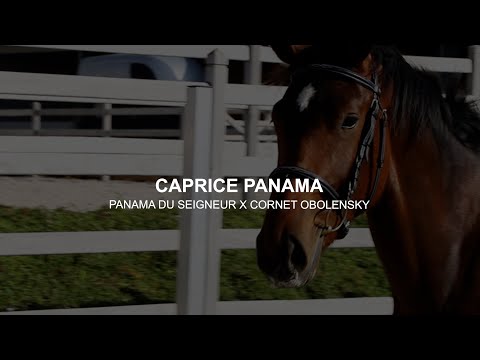 Caprice Panama