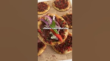 Combat engineers, what