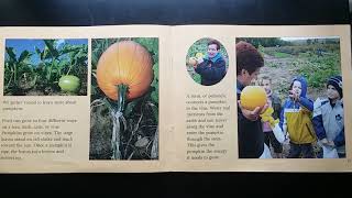 Famous A Day at the Pumpkin Patch Wealth