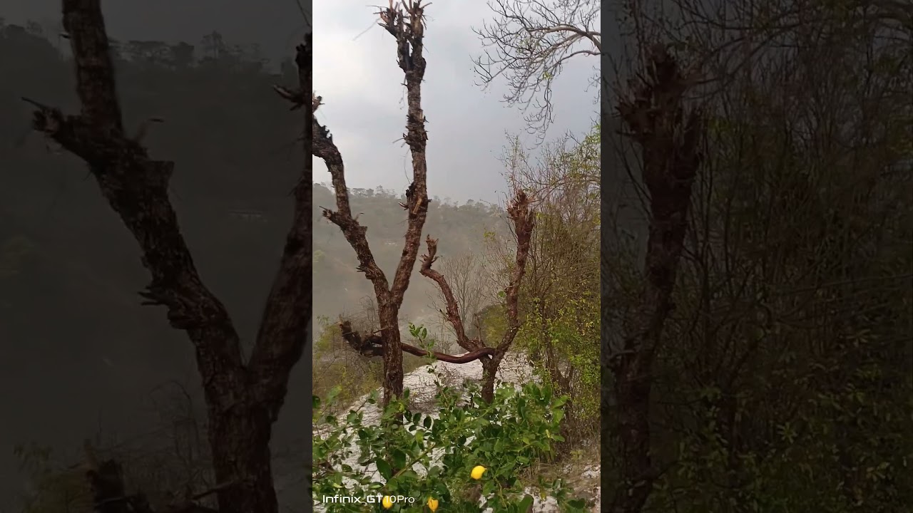 Peacefull Snowfall & Rain in My Village | Nature Therapy 🌧️❄️