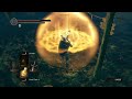Dying so I miss the Gravelord Servant, WTF is that