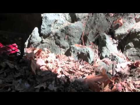 Scalers At Linda Vista Park: Part 1