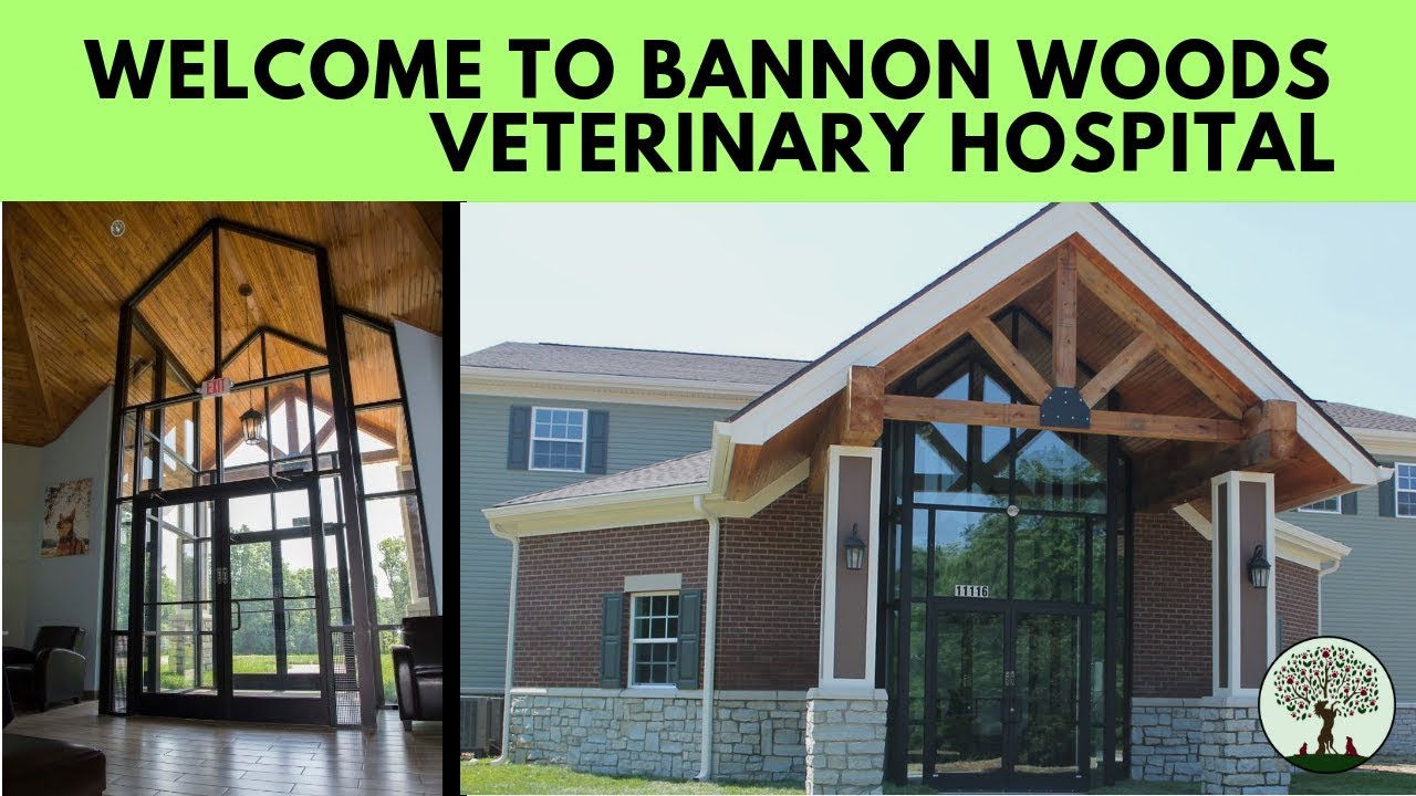 About Our Practice Bannon Woods Veterinary Hospital YouTube