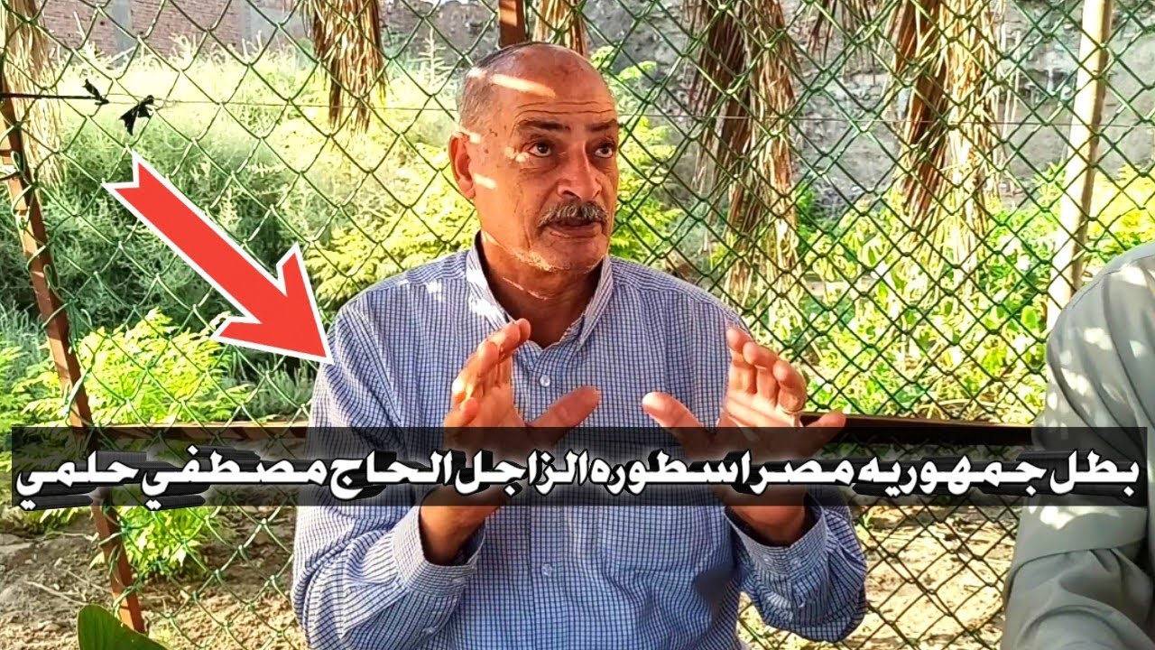 اهم المعلومات الاساسيه للحمام الزاجل عشان تكسب واجمل نقاش بين الحاج مصطفي حلمي والبطل ايمن انور