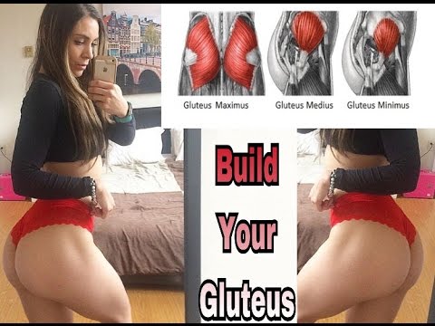 How To Build Gluteus Maximus Muscle How To Build Gluteus Maximus Muscle