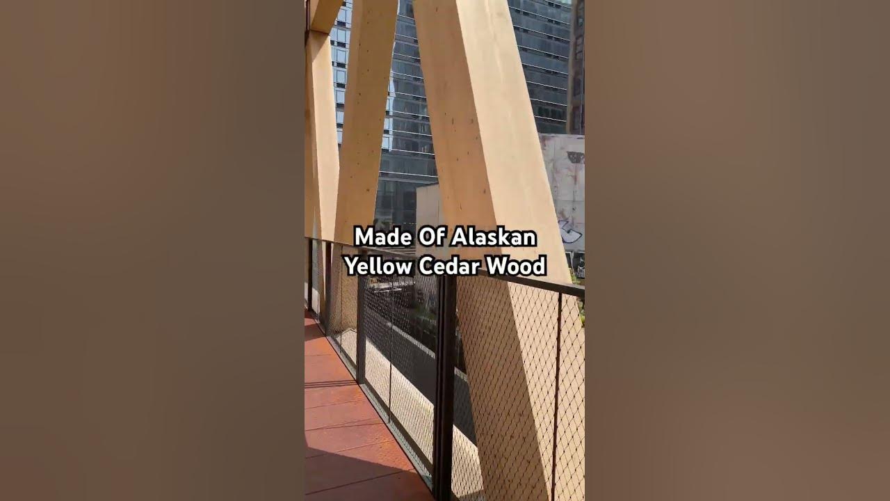 The Highline Has A New Bridge. #thehighline #highlinebridge #moynihanconnectorbridge The Highline Has A New Bridge. #thehighline #highlinebridge #moynihanconnectorbridge