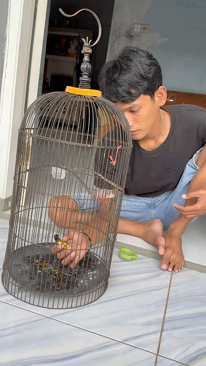 It turns out it's hard to train sogon to like eating kroto #ebiwirawan