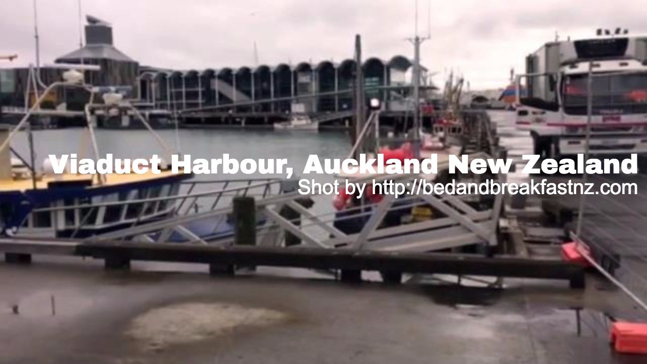 Viaduct Harbour, Auckland New Zealand