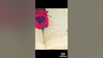 سوره النازعات الشيخ اسامه