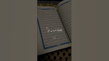 تلاوات من القران الكريم #القرآن_الكريم #تلاوة_خاشعة