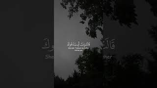 فسقى لهما ثم تولى إلى الظل فقال رب إني لما أنـزلت إلي من خير فقير || القارىء هيثم الدخين