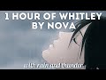 Whitley by Nova (instrumental) WITH rain and thunder / 1 hour loop calming and relaxing 🍃 (tiktok)