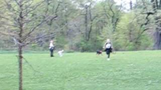 20100417_1018am_peninsula.AVI