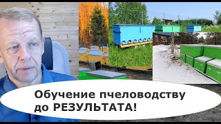 Пасека на сотке практический курс по пчеловодству длиною в год для начинающих пчеловодов.