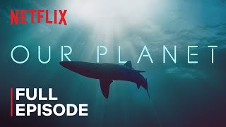 Our Planet | Coastal Seas | FULL EPISODE | Netflix | Summary 2023