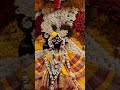 Blissful Sringar darshan of Sri Banke Bihari Laal Ji@ Vrindavan#shorts