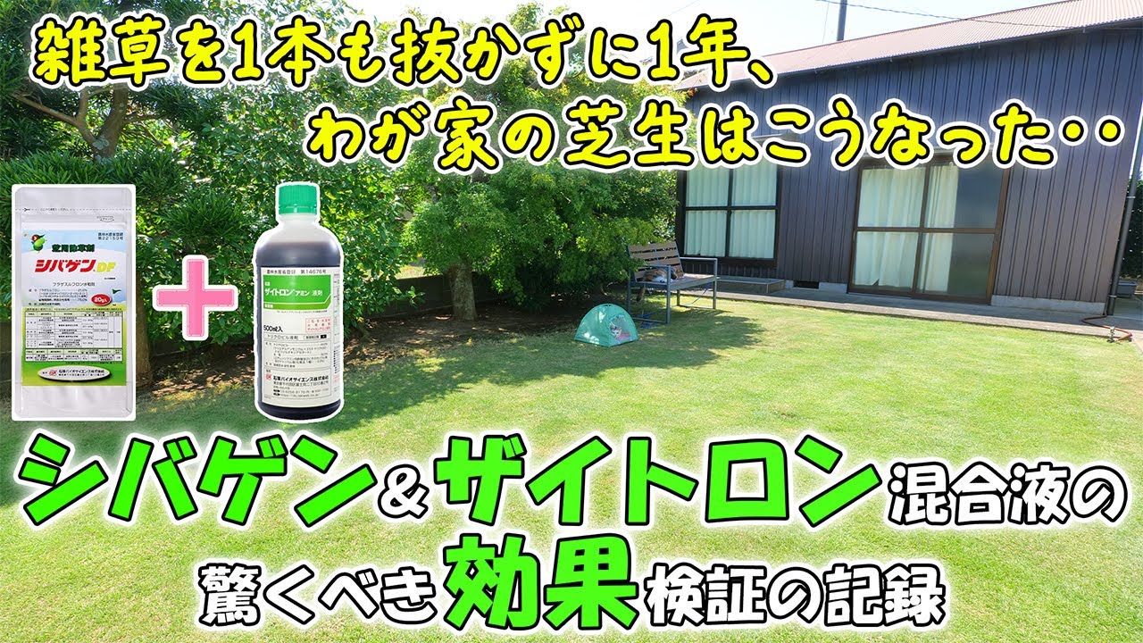 芝管理　芝　除草 maxresdefault.jpg