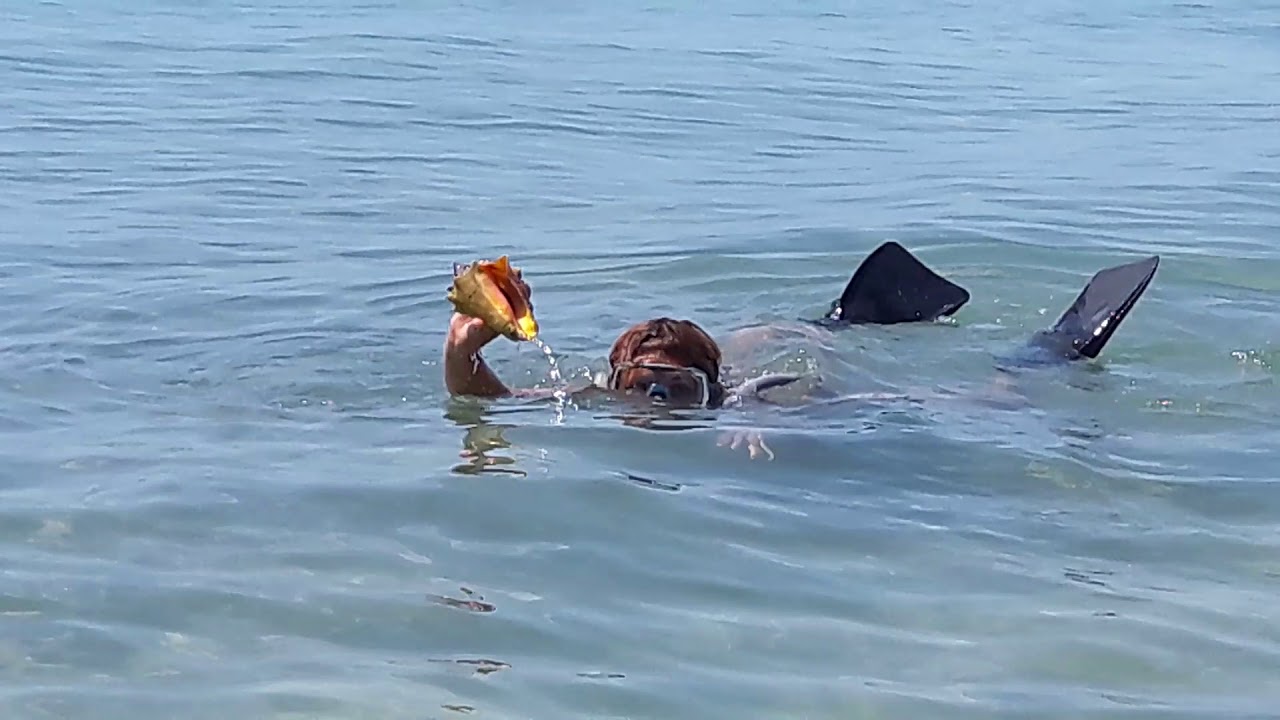 Snorkel en Key West YouTube