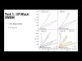 A benchmark for binary star interaction with a supermassive black hole - Megha Sharma @ phantom2025