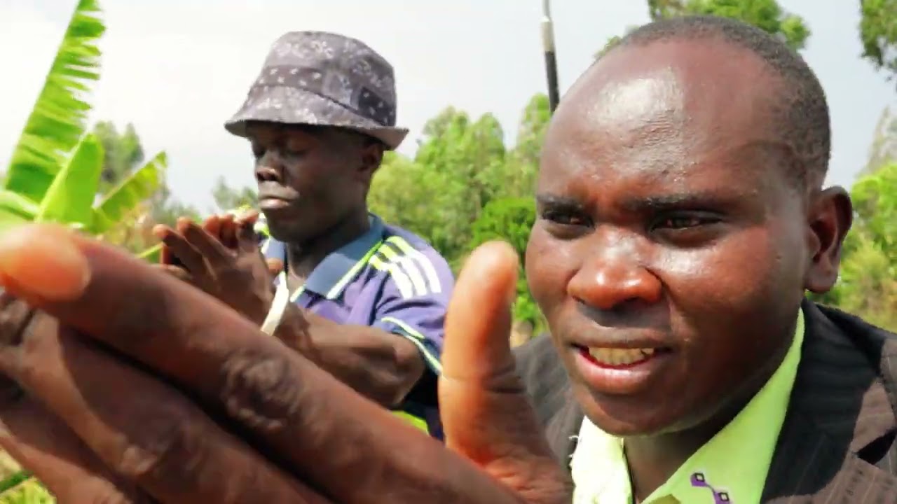 Namusiekhele redio by Metameta Band