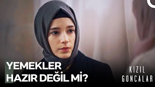 Hasna'dan, Zeynep'e Büyük Oyun - Kızıl Goncalar