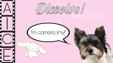 AICE Media Studies | Scene Transitions, Dissolve Transition Example 