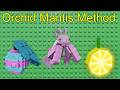 How to turn easter fruits into rainbow. Orchid Mantis Method.