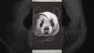 Анастасия Серая Рисует Пастелью Картину «Чёткая Панда» #Shorts
