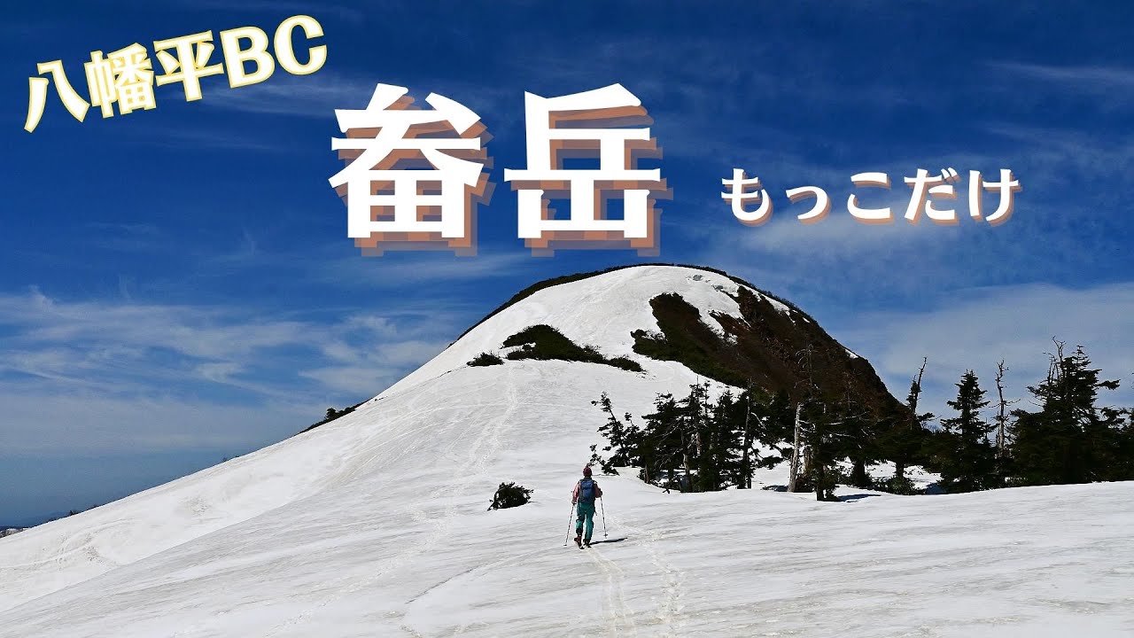 未使用品dynafit チュガッチャ173　バックカントリー山スキーBCツアー 畚岳 山スキー【八幡平バックカントリー】藤七温泉から - YouTube