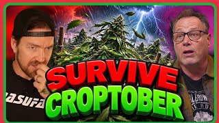 Every Outdoor Grower Needs to Know THIS Before They Harvest