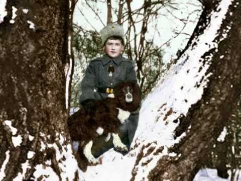 Video: Alexei Kosygin - Țarevichul Supraviețuitor Alexei Romanov - Vedere Alternativă