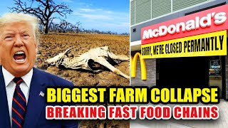 30 Fast Food Chains That Are Struggling To Stay In Business As U.S. BIGGEST Farm Collapse