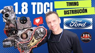 Ford 1.8 Tdci. Duratorq. Wet timing belt. Mondeo, CMax, Focus, Transit, Detailed Tutorial.