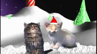 Jingle Cats - Silent Night