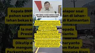 Sawit Muncul di Bekas Karhutla Kalbar, Prabowo Minta Nama Korporasinya  #KarhutlaKalbar #Prabowo