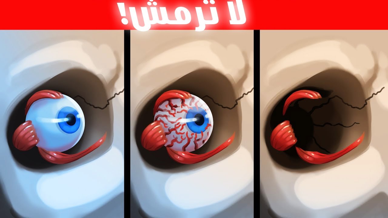 ماذا يحدث لعينيك إذا لم ترمش أبدًا؟ (دقيقة بدقيقة)