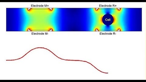 Amphasys - Signal Detection in Single Cell Analysis by Microfluidic Impedance Flow Cytometry
