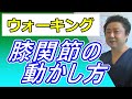 【予想外】ウォーキングで大事な膝関節の動かし方。これで膝の負担がなくなる！もも裏歩きウォーキング協会 第76回
