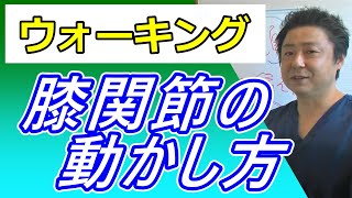 【予想外】ウォーキングで大事な膝関節の動かし方。これで膝の負担がなくなる！もも裏歩きウォーキング協会 第76回