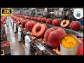 Inside a Modern Factory: The Entire Canned Peach Production Line (Full Process)