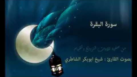 سورة البقرة   2 القرآن الكريم - الشيخ أبوبكر الشاطري