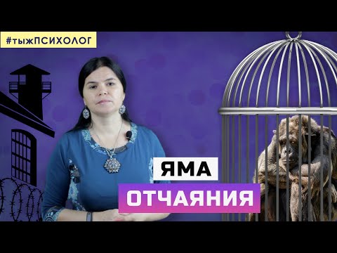 "Яма отчаяния", социальная изоляция и одиночество // ты ж ПСИХОЛОГ