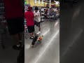dog shopping at LIDL