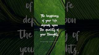 5 Marcus Aurelius Quotes That Will Inspire You to Live in the Moment #Shorts