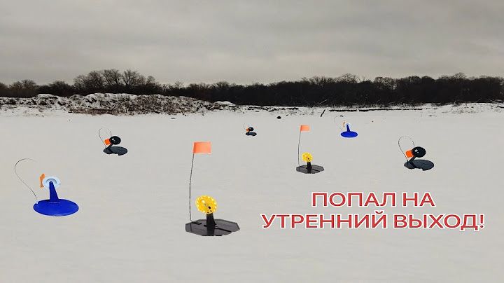 УТРЕННИЙ ЖОР ЩУКИ!/Ловля щуки на жерлицы/Окунь под водой/Рыбалка на карьере