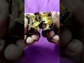 Snickers bar  fruit  nut  chocolate bar  unwrapping satisfying shorts