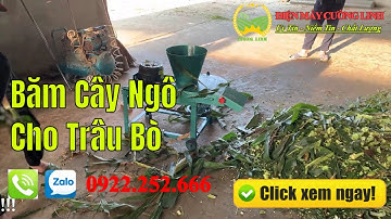 Máy Thái Chuối Đa Năng Băm Cây Ngô Cho Trâu Bò