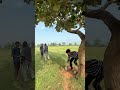 Wine Thief  😂 #shortvideo