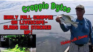 видео: Краппи ранней осенью на Livescope — целые пласты! #CrappieFishing #Livescope #FallFishing картинка: Краппи ранней осенью на Livescope — целые пласты! #CrappieFishing #Livescope #FallFishing