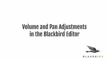 Audio Volume and Pan Adjustments in the Blackbird Editor